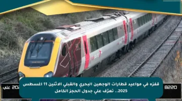 قفزة في مواعيد قطارات الوجهين البحري والقبلي الاثنين 11 أغسطس 2025.. تعرّف على جدول الحجز الكامل